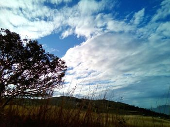 Scenic view of field against cloudy sky