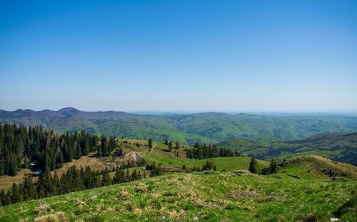 Scenic view of landscape against clear blue sky