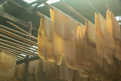 Close-up of clothes hanging on wood