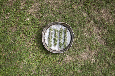 High angle view of sunglasses on field