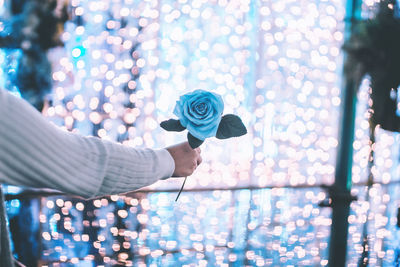 Cropped hand of person holding rose against illuminated lights
