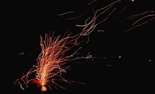 Fireworks exploding in night sky