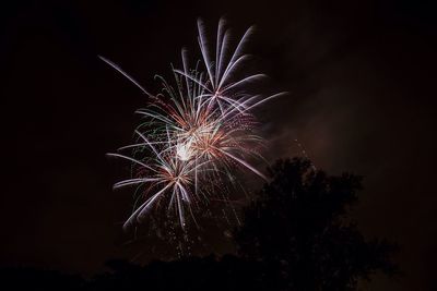 Low angle view of firework display at night