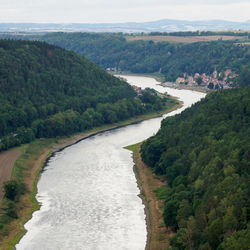 High angle view of river amidst trees