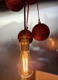 Bulbs and baubles 