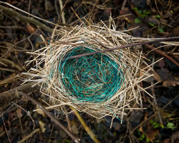 High angle view of hay