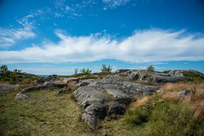 Scenic view of landscape against blue sky