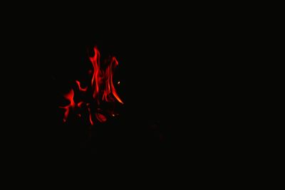 Close-up of bonfire at night