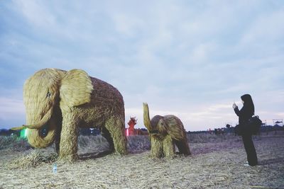 Woman photographing artificial elephants against sky