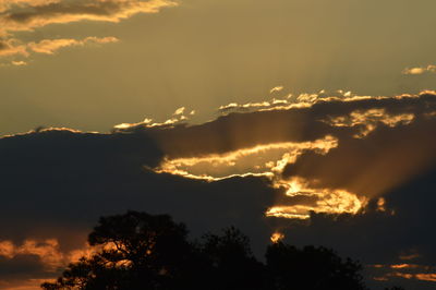 Low angle view of silhouette trees against sky at sunset