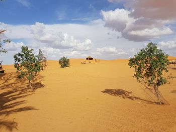 Scenic view of desert against sky