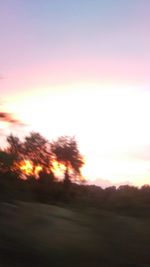 Silhouette trees on field against sky at sunset