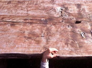 High angle view of cropped woman by table