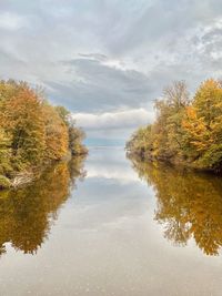 reflection