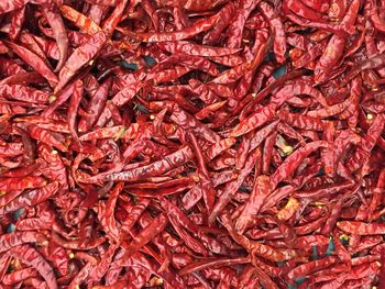 Full frame shot of red chili peppers