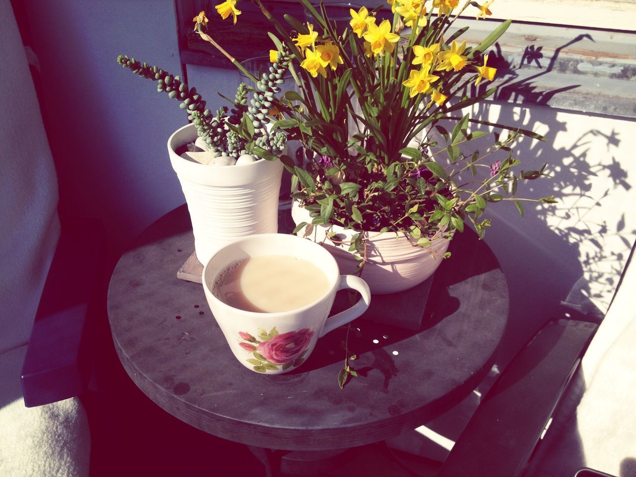 table, freshness, flower, drink, coffee cup, indoors, food and drink, vase, refreshment, potted plant, coffee - drink, high angle view, plant, saucer, growth, close-up, petal, still life, cup, coffee