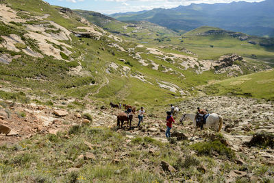 People with horses on hill during sunny day