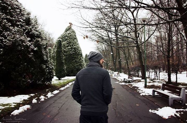 rear view, snow, cold temperature, winter, tree, bare tree, clear sky, branch, solitude, tranquil scene, day, sky, outdoors, tranquility, scenics