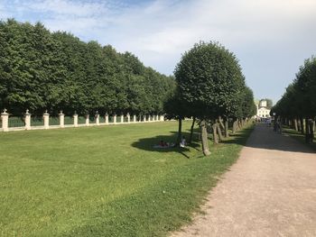 Trees in garden against sky