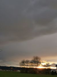 Bare trees on field against sky during sunset