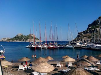 Sailboats moored in marina