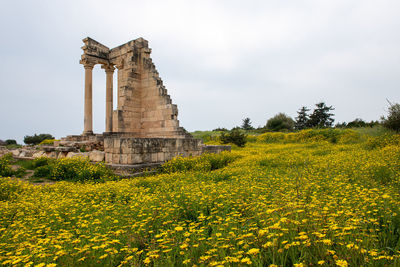 View of the ancient ruins of apollo hylates monument in cyprus 