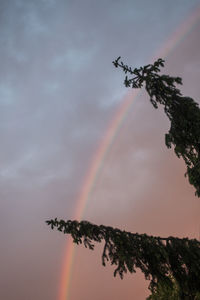 Low angle view of rainbow against sky at sunset