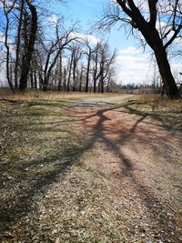 Bare trees on field against sky