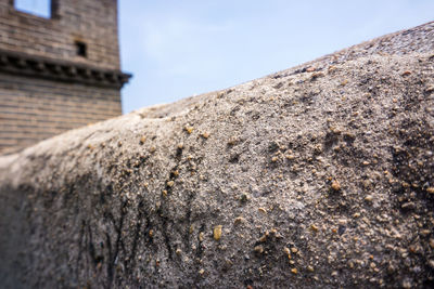 Low angle view of lichen on rock against sky