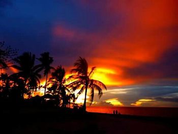 Silhouette of palm trees at sunset