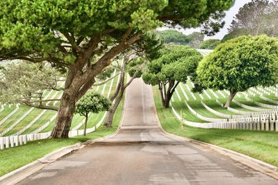 Empty road amidst trees in park