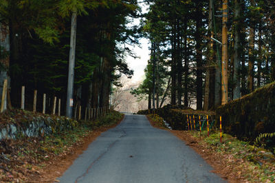 Empty road amidst trees in forest