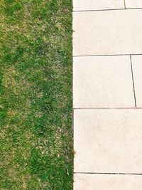 High angle view of grass on field