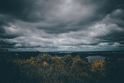 Plants growing on field against storm clouds