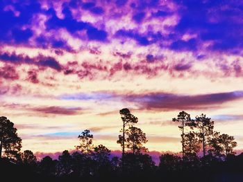 Silhouette of trees against cloudy sky