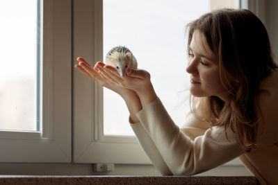 Girl holds cute hedgehog in her hands. portrait of pretty curious muzzle of animal. favorite pets. 