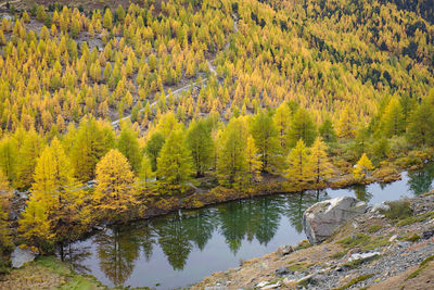 Scenic view of lake during autumn