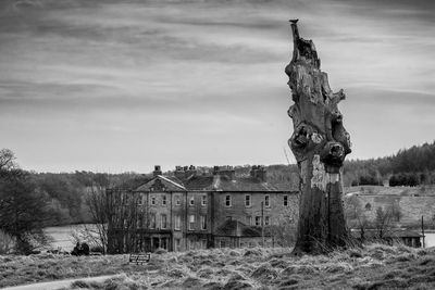 Dead tree on field against building