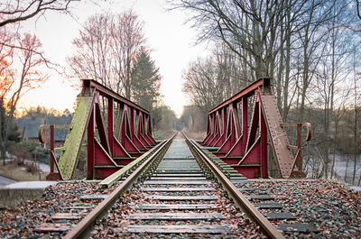 Railroad track passing through forest