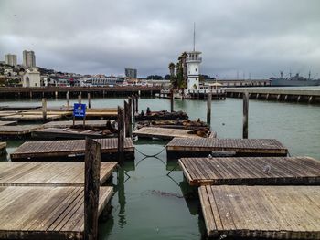 Pier at harbor against sky