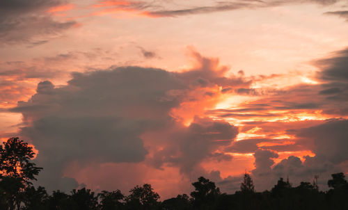 Low angle view of silhouette trees against dramatic sky