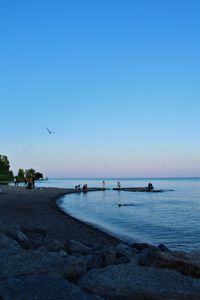 Scenic view of beach against clear blue sky