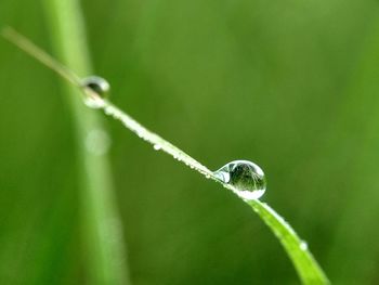 Close-up of raindrops on leaf
