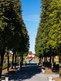 Trees in city against clear sky