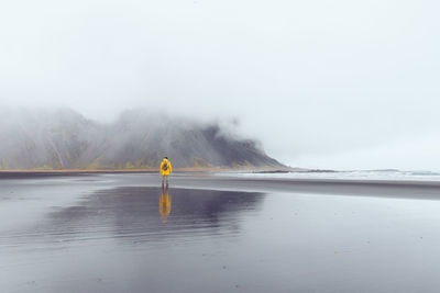 Rear view of man standing on shore at beach