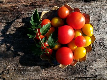 High angle view of tomatoes on table