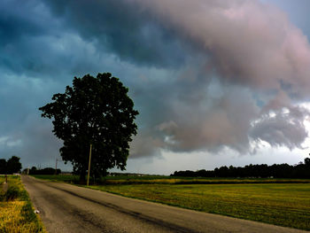 Trees on field against cloudy sky