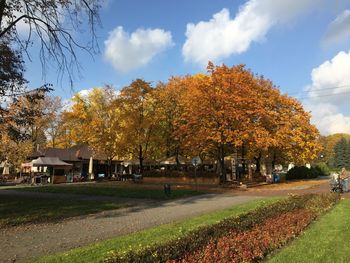 Trees on landscape against sky during autumn