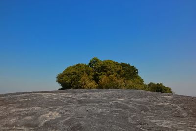 Tree on mountain against clear blue sky