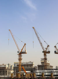 Big cranes at construction sites in the city of dubai in the united arab emirates